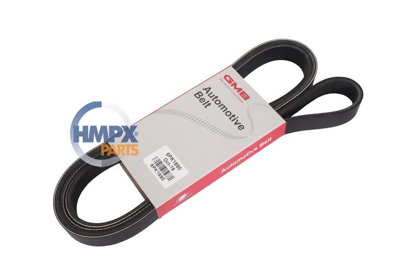 Ford Focus 1.6 Zetec Klimalı Vantilatör Kayışı 6PK1890 6PK1893 1998-2005