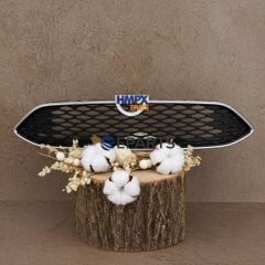 Ön panjur titanium -Focus  3,5  2014-2018